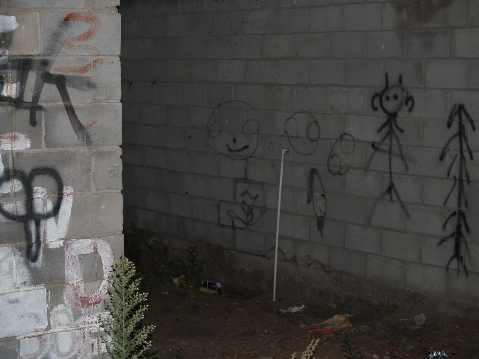 Untitled photograph, 14 of 24
