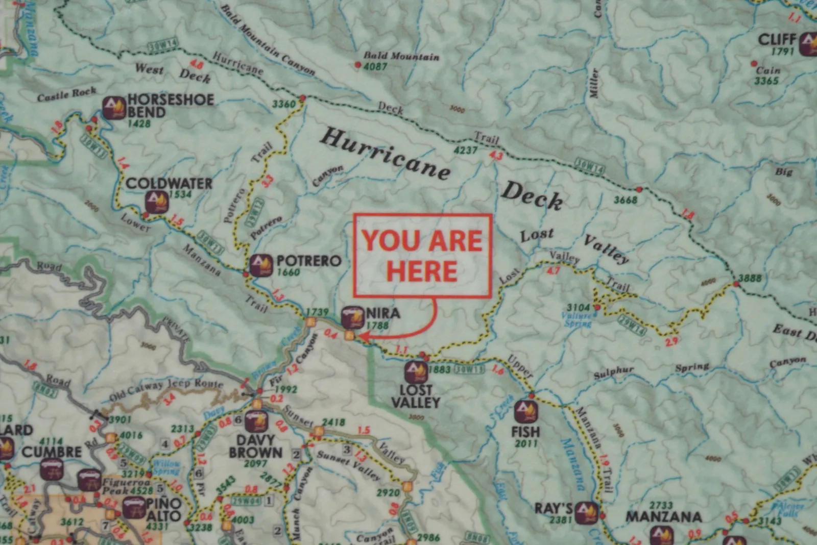You are here