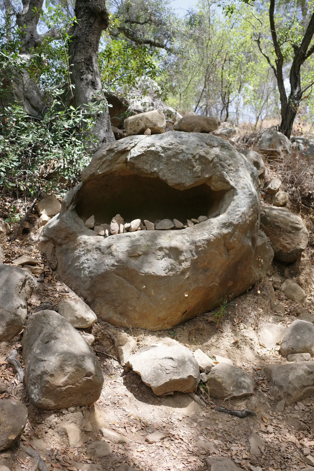 Rock