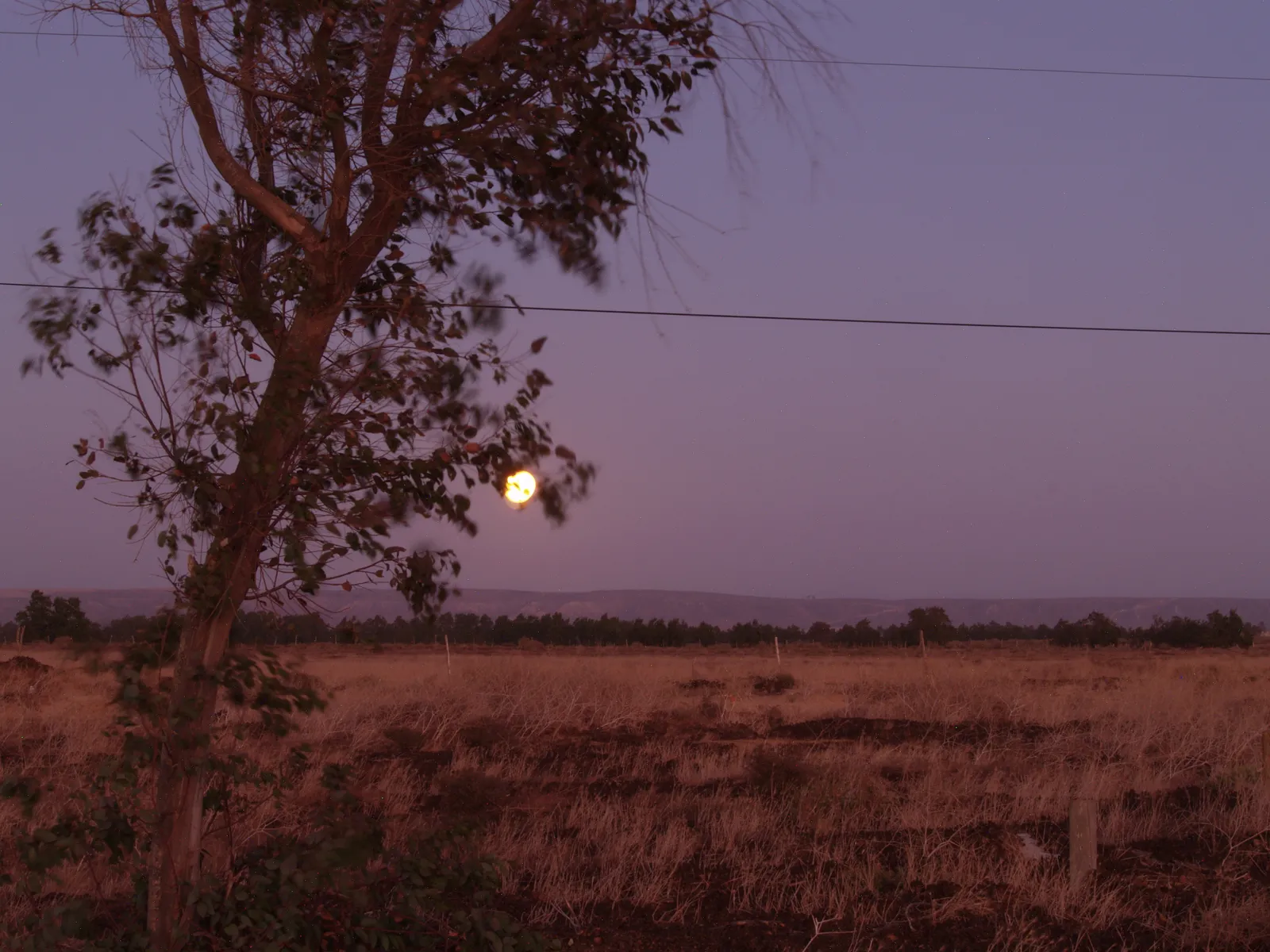 Untitled photograph, 8 of 24